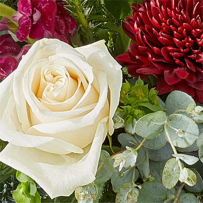 Cranberry Fizz Bouquet –  Berkeley Florist, Moncks Corner SC