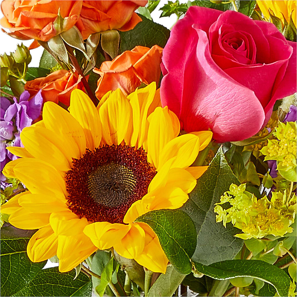 Vibrant Greetings Bouquet –  Berkeley Florist, Moncks Corner SC