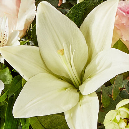Ballet Slippers Bouquet –  Berkeley Florist, Moncks Corner SC