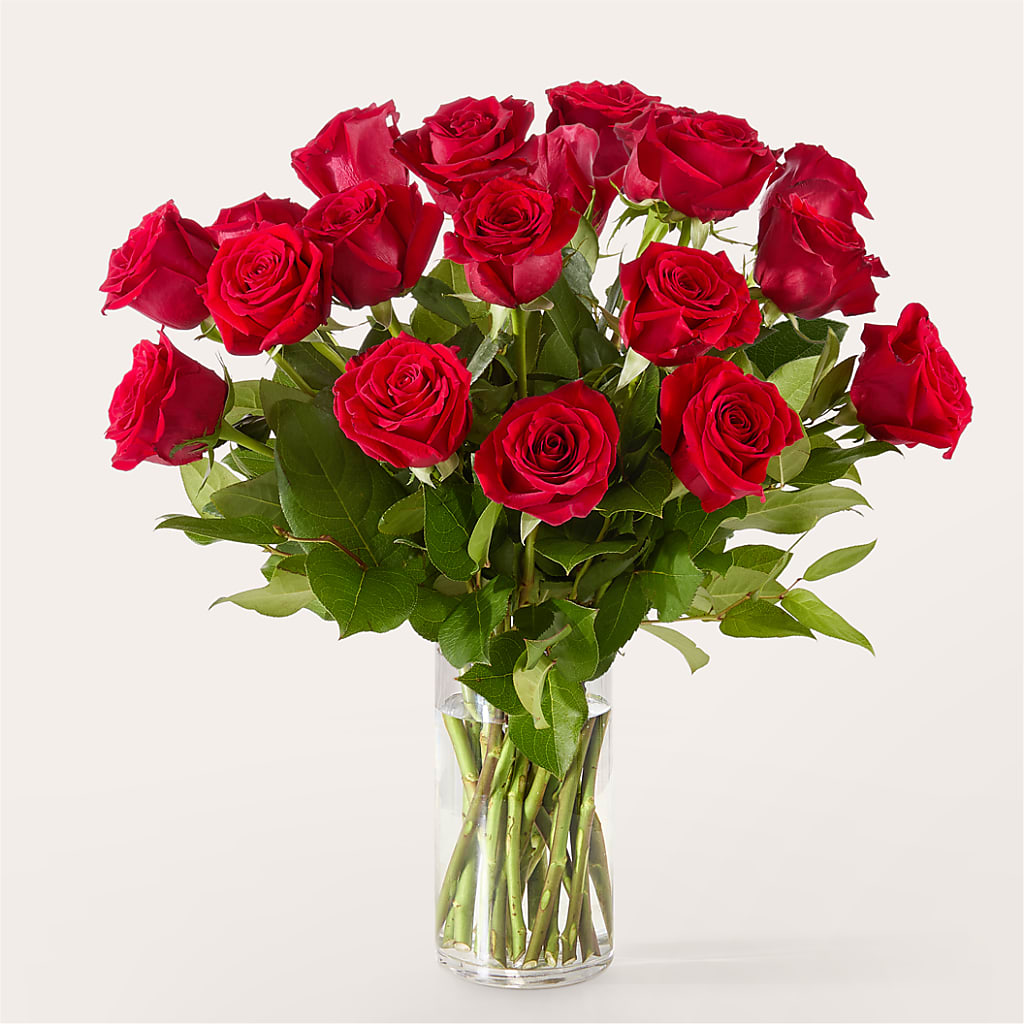 The One Red Rose Bouquet –  Berkeley Florist, Moncks Corner SC