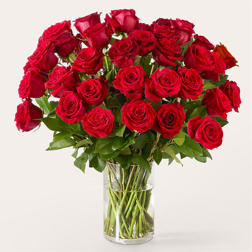 The One Red Rose Bouquet –  Berkeley Florist, Moncks Corner SC