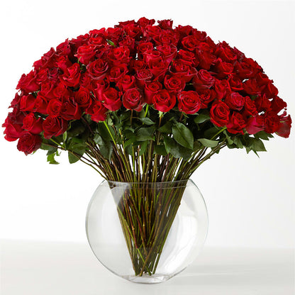 The Idealist –  Berkeley Florist, Moncks Corner SC