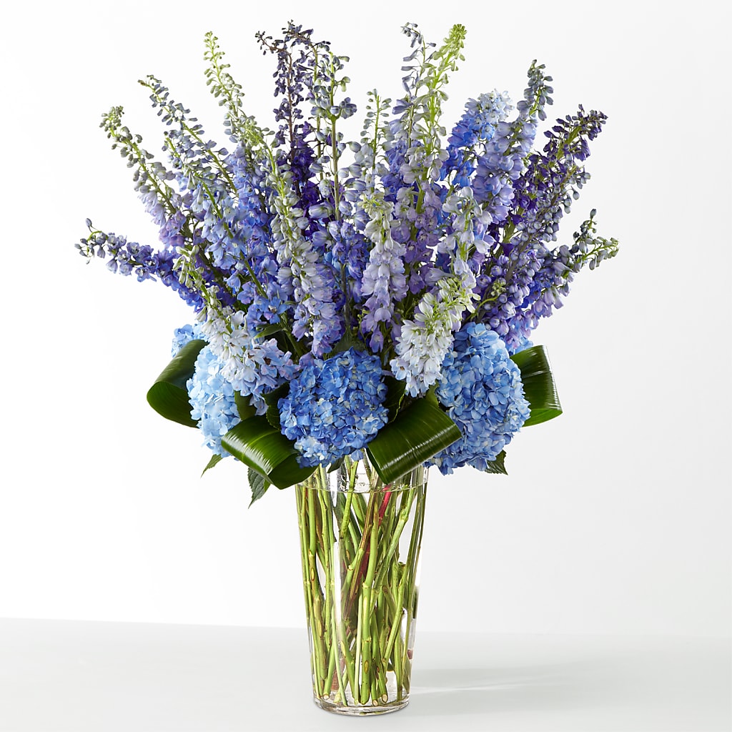 The Editorial –  Berkeley Florist, Moncks Corner SC