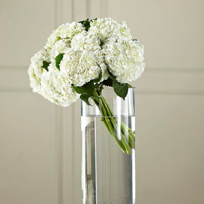 White Hydrangea Hand-Tied Bouquet –  Berkeley Florist, Moncks Corner SC