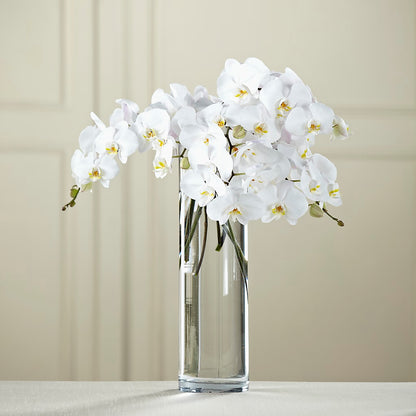 White Phalaenopsis Bouquet –  Berkeley Florist, Moncks Corner SC
