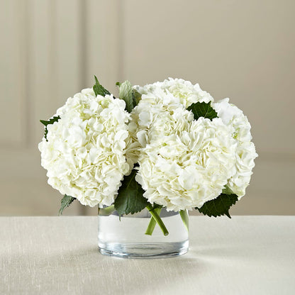 White Hydrangea Bouquet –  Berkeley Florist, Moncks Corner SC