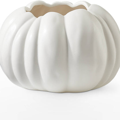 Pumpkin to Talk About Bouquet –  Berkeley Florist, Moncks Corner SC